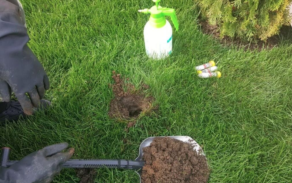 Борьба с кротами в Москве